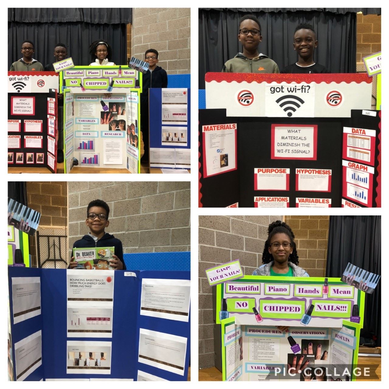 Science Fair